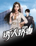 我的娇妻免费读全文