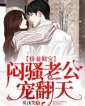 娇妻似宝,闷骚老公宠翻天