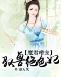 魔君嗜宠:驭兽绝色妃