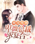 萌宝驾到：卑微总裁求复合