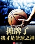 摊牌了我才是篮球之神