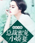 总裁夜夜盛宠