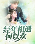 经年相逢意正浓免费完本小说阅读