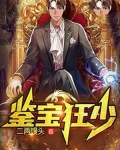 鉴宝狂少