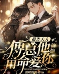 一胎双宝总裁大人找上