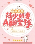 婚从天降,陆少娇妻A翻全球