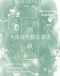 满级大佬每天都在努力低调