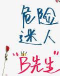 19世纪危险迷人b先生百度云