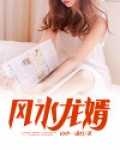 风水龙婿