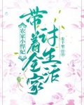 农家小悍妃：带着全家讨生活