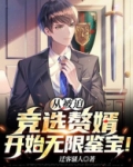 从被迫竞选赘婿开始无限鉴宝!