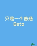 只是一个普通Beta