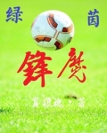 绿茵锋魔笔趣阁