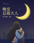 晚安,总裁大人