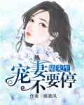 陆先生,宠妻宠不停