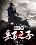 南宋:我,岳飞之子!反了!