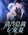 清冷总裁专宠妻
