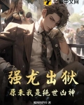 强龙指什么