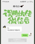 误删大佬微信后