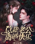总裁老公，离婚快乐