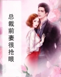 总裁前妻很可口