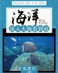 海洋:深入大海看到底