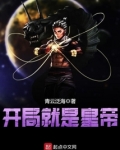 开局就是皇帝
