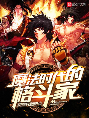 魔法时代的格斗家TXT下载