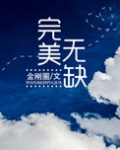 完美无缺