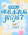 七岁审神领着残破本丸奔花丸