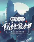 包公探案故事全5册