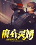 麻衣灵婿