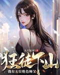 逆徒出山主角叶凌云小说