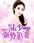 天价契约:陆少宠妻无下限