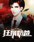 狂婿奶爸