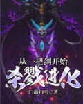 从一把剑开始杀戮进化