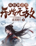 从捡到青鸾开始无敌境界