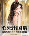 前女友回国就离婚的小说