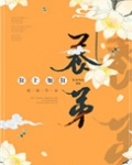 养帝(养弟)