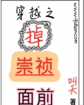 穿越之掉崇祯面前