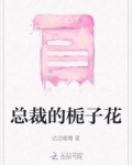 总裁的孩子小说
