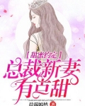 甜蜜约定,总裁新妻有点甜
