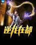 逆龙小说网