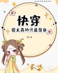 快穿宿主真的只是替身