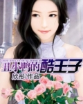 丑小鸭的酷王子(完)