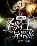 魔兽之圣骑士异界游
