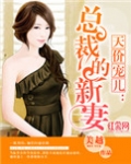 天价宠儿:总裁的新妻