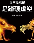 我本无意却是踏破虚空