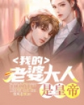 我的老婆大人是皇帝