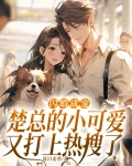 闪婚成宠，楚总的小可爱又打上热搜了
